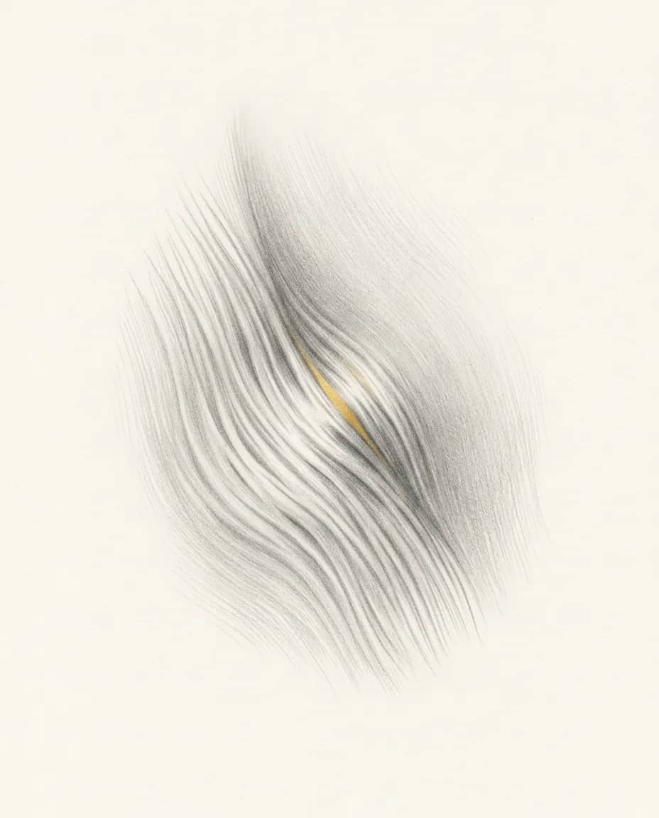 Graphite plate — Stretch Mark Fetish