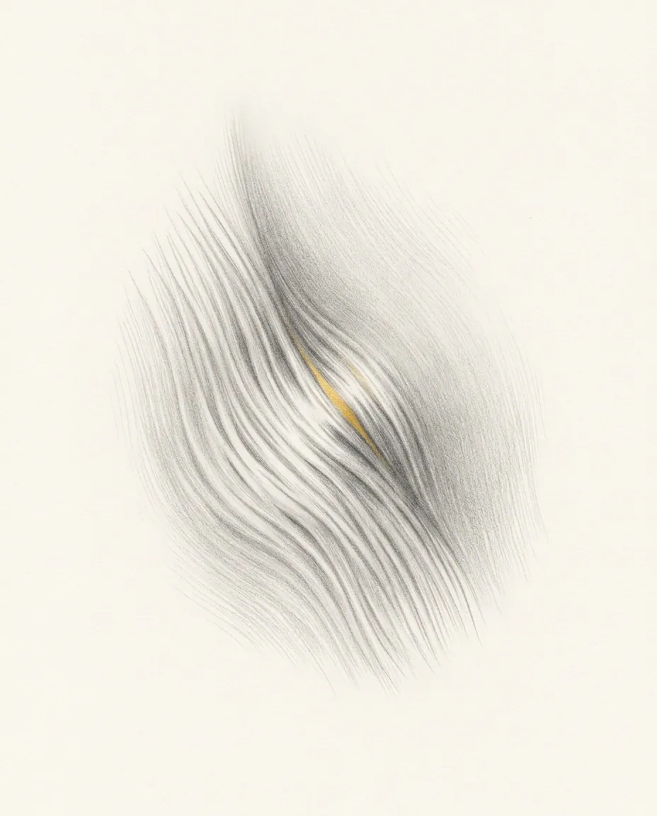 Graphite artwork symbolising Stretch Mark Fetish