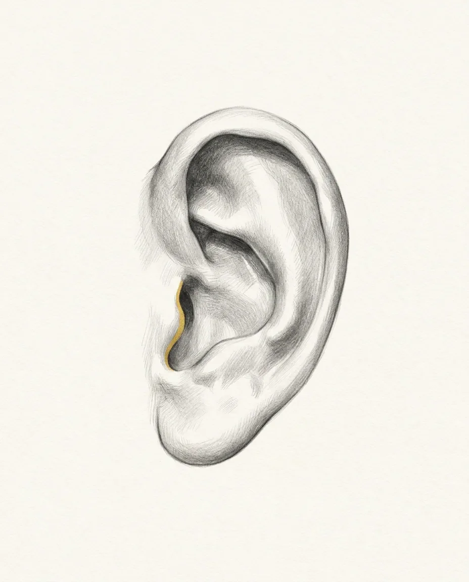 Graphite artwork symbolising Ear Fetish