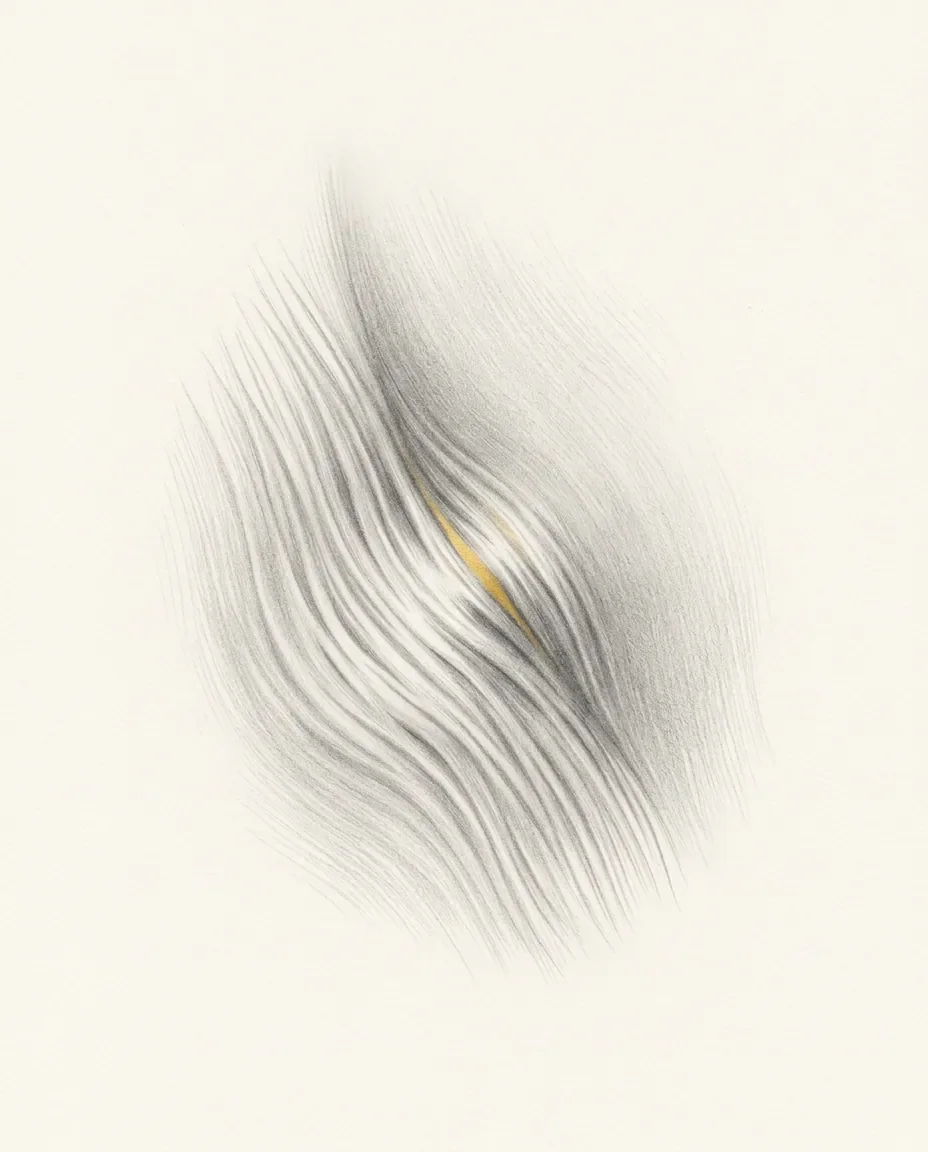 Graphite artwork symbolising Stretch Mark Fetish